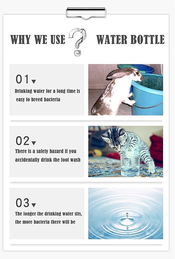PStarD Moon Small Animals Bunny Hamster Guinea Pig Water Bottle - 8.5 oz, Suitable for Rabbits, Chinchillas, Gerbils, Groundhogs, Squirrels