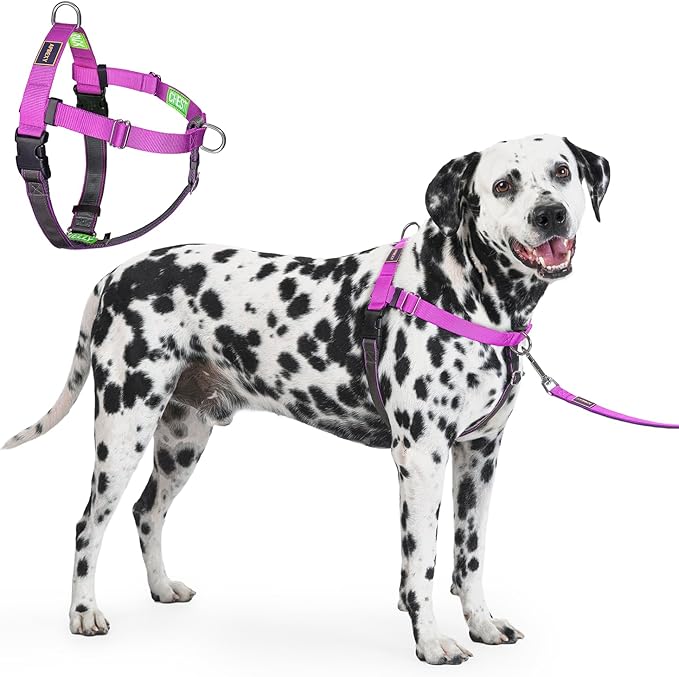 Freedom No Pull Dog Harness for Large Dogs, Front Clip, Easy Walker, Anti Pull with Two Stainless D-Rings, Comfortable, Sewn-in Instructions Tags for Easy Use (Purple, XXL)