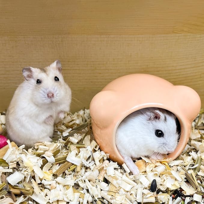 Ceramic Hamster House, Cute Animal Shaped Hamster Cave, Summer Cool Small Animal Hideout Habitat Decor for Dwarf Hamsters (Orange)