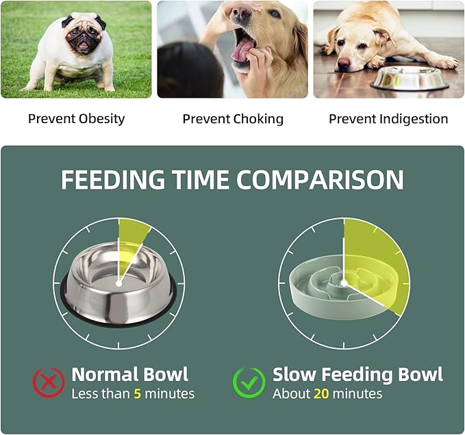 Havniva Ceramic Raised Slow Feeder Dog Bowl Set, Elevated 7.3inch Bowl and 8.2inch Puzzle Slow Dish with Wooden Stand for Medium and Large Dog, Anti-Gulping (2X Light Green+ Stand)