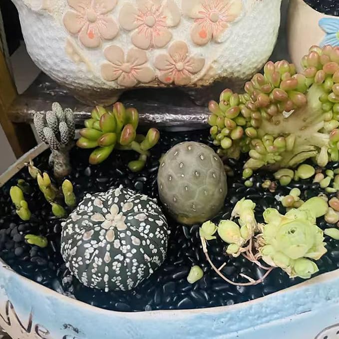 FANTIAN 5 lbs Pebbles for Indoor Plants. 3/8 inch Small Black Stones, Decorative Black River Rocks for Plant Outdoor, Vase, Landscaping and Garden