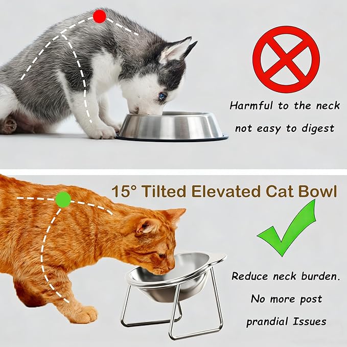 Elevated Cat Bowls, 15°Tilted Stand Whisker Friendly Raised Cat Food & Water Dishes, 5.9 inch Stainless Steel Indoor Anti-Vomiting Small Dog Bowls,Dishwasher Safe,Spine Friendly