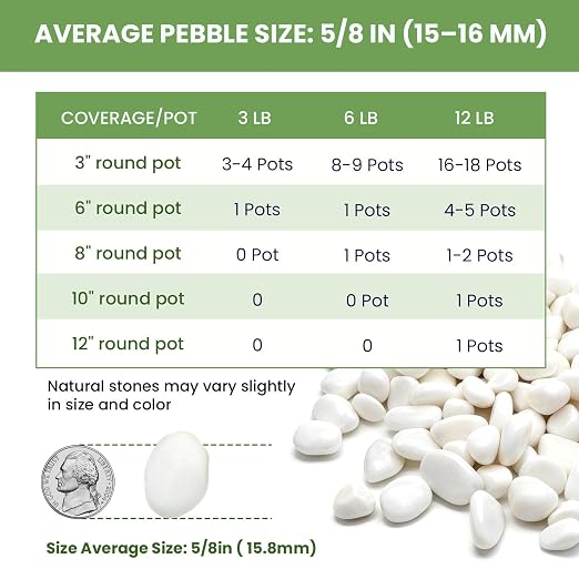 Snow White Polished River Rocks, 5/8 Inch Natural Decorative Pebbles for Fish Tank, Vase Fillers, Indoor Plants & Garden Landscaping,White Stones for Crafts, Succulents, Home Decor-6LB