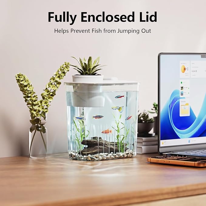 0.8 Gallon Betta Fish Tank Aquarium Starter Kit with Light and Lid(White) | Premium Acrylic Aquarium with Light and Lid, Crystal Clear Starter Kit for Betta Fish, Shrimp, Snails and Small Fish