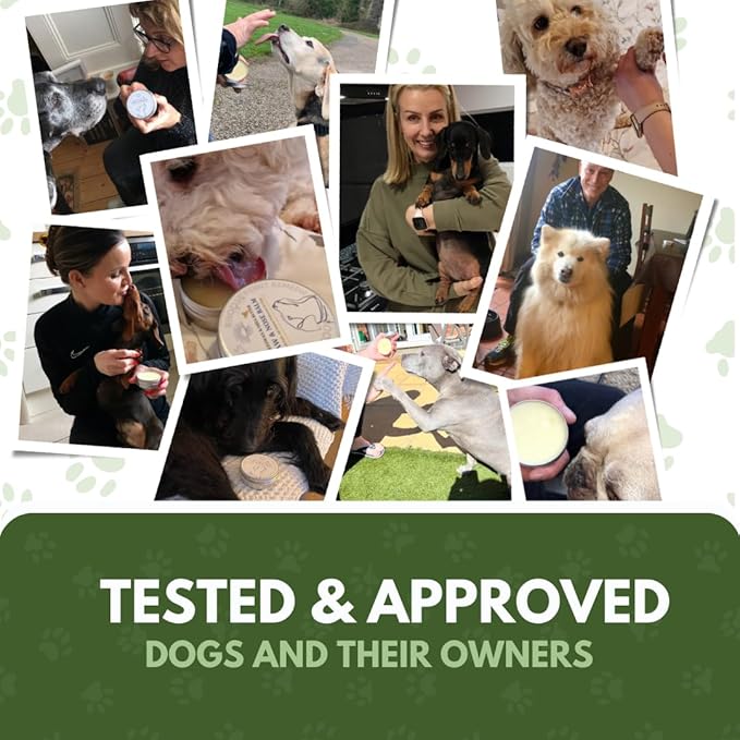 Lick Safe Dog Paw Balm - Softens, Heals, Soothes & Protects Dogs Paws, Noses & Skin. All Natural, Organic Ingredients. Lick-Safe Protection for Dogs with Beeswax (2 fl.oz - Standard Tin)