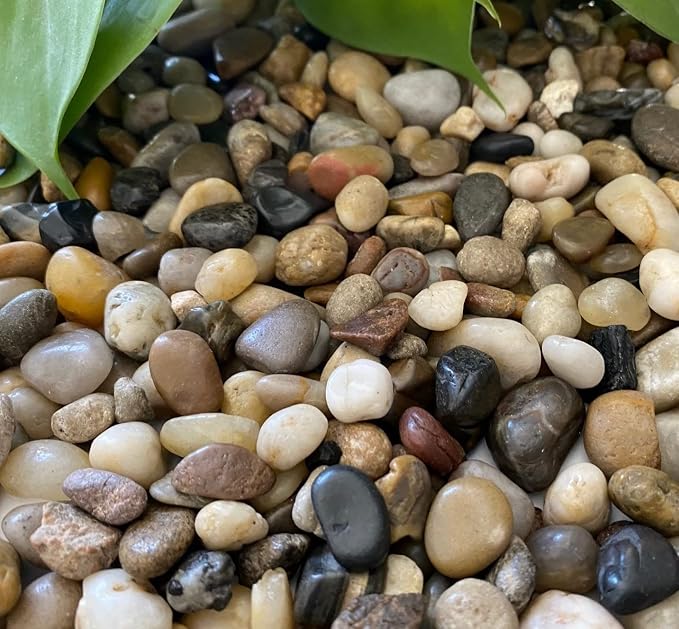 Mixed Color Polished Rocks for Plants, Decorative Pebbles, 3/8 Inch, 10 lb