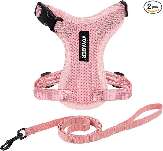Voyager Escape-Proof Step-in Lock Cat Harness & 5ft Neoprene-Handle Leash Set All-Weather Mesh with Reflective Stitching for Small to Large Cats by Best Pet Supplies, Pink, XXXS
