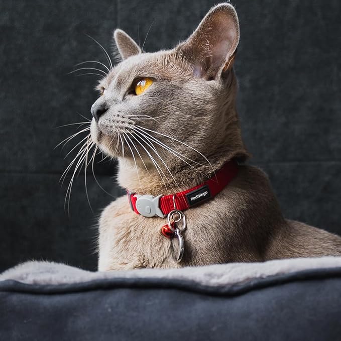 Red Dingo Classic Safety Release Breakaway Premium Cat Collar – Adjustable One Size Fits All with Soft Nylon Webbing, 4.4lb Safety Release Fish Clip, Stainless Steel D-Ring, Wildlife Bell – Hot Pink