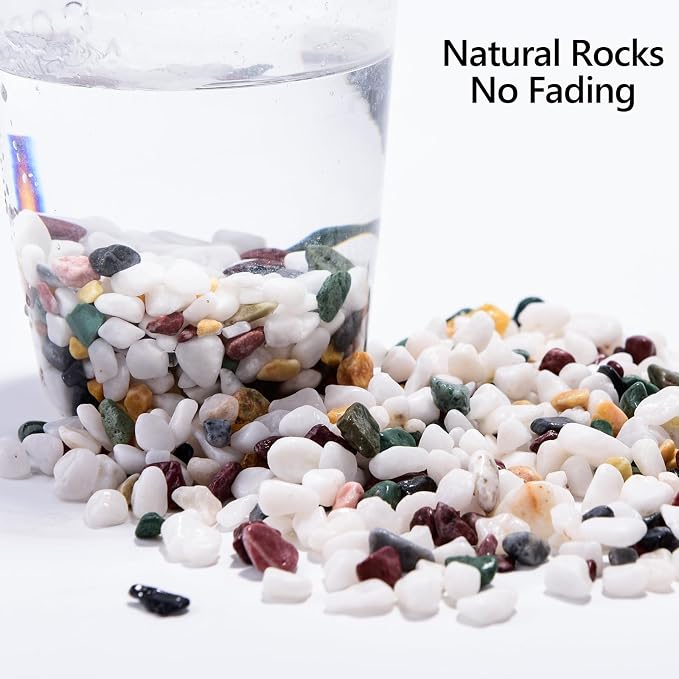 Boniosz 2LB Succulent and Cactus Gravel Pebbles, 1/4 Inch - 1/3 Inch Natural Decorative Polished Stones, River Rocks for Plants, Aquariums, Vases, Terrarium and Outdoor Gardening, 5 Mixed Colors