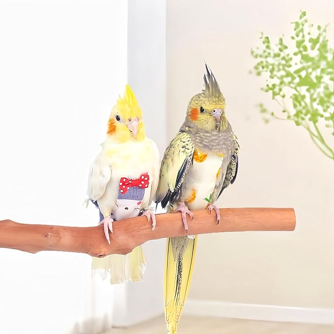 2Pcs Bird Diapers Bird Harness Flight Suits Diapers with 80 Inch Flying Leash Parrot Nappy Washable Cute Urine Wet Suit for Cockatiel Conure Macaw Budgies Parakeet-Pineapple&Kitten,S