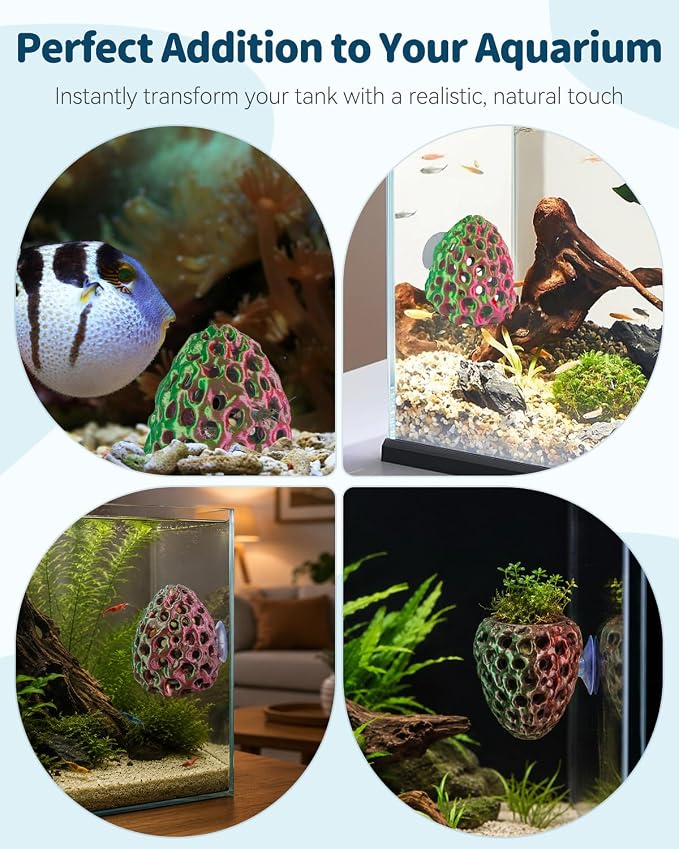 Uniclife Shrimp Cave, Shrimp Hides for Aquarium, Realistic Plastic Aquarium Coral Rock Decorations with Suction Cup, Betta Hideout Tank Accessories for Fish Tank Decor, Red-to-Green Gradient