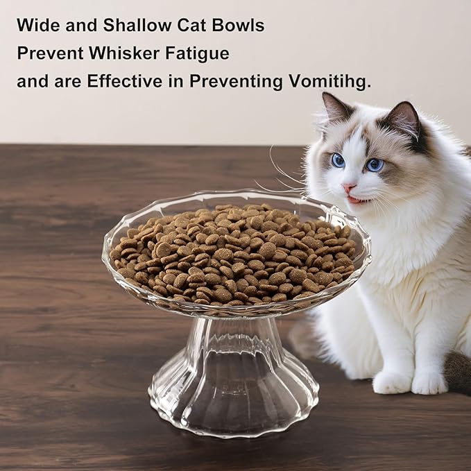 Elevated Cat Bowls Whisker Friendly. Raised Glass Whisker Fatigue Cat Bowl for Indoor Cats Protect The Spine and Prevent Vomiting.