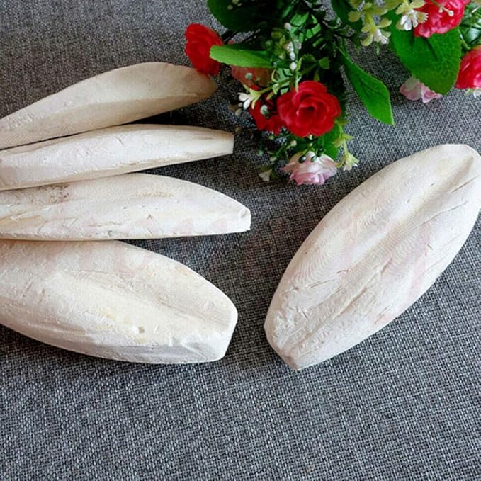 Acxico 10 pcs Cuttlefish Bones Pet Molars, Cuttlefish Bones, 8-10cm