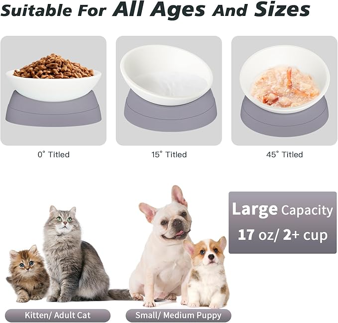 Elevated Cat Bowl, Adjustable Raised Slanted Food Bowl for Cats and Small Dogs, Wide Shallow PP Dish with TPR Non Slip Base, Whisker Friendly, 17 oz