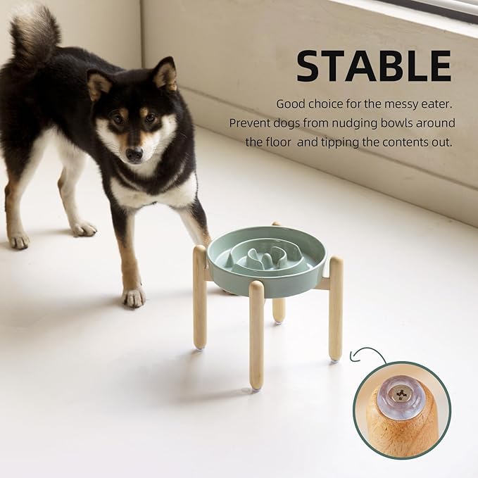 Havniva Ceramic 1.6 Cup Raised Slow Feeder Dog Bowl Set, Elevated Wooden Stand for Medium and Large Dog, 8.2inch Puzzle Slow Dish, Anti-Gulping(Light Green, Single Bowl+ Stand)