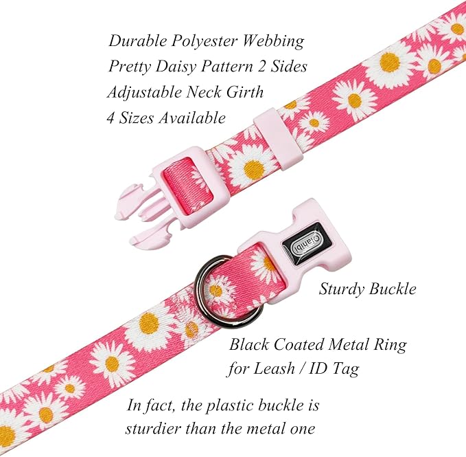 Dog Collar and Leash Set, Cute Pink Daisy Pattern, Polyester Material, 5ft Leash, for Small Dogs.(Small, Pink Daisy)