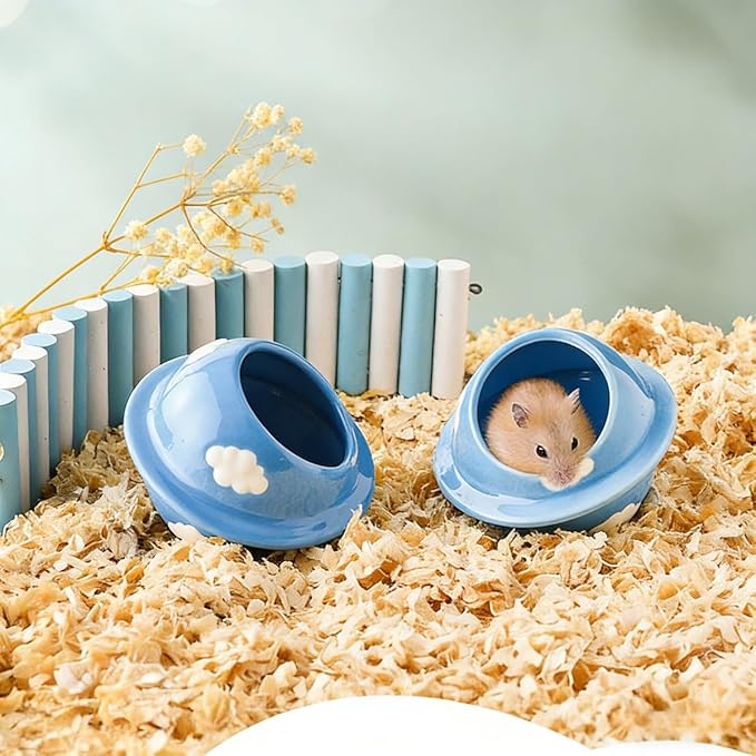 Ceramics Hamster Hideout Planet-Shape Guinea Pig Bed Cute Cool Summer Cage for Small Animal Dwarf, Gerbil, Squirrel (Blue)