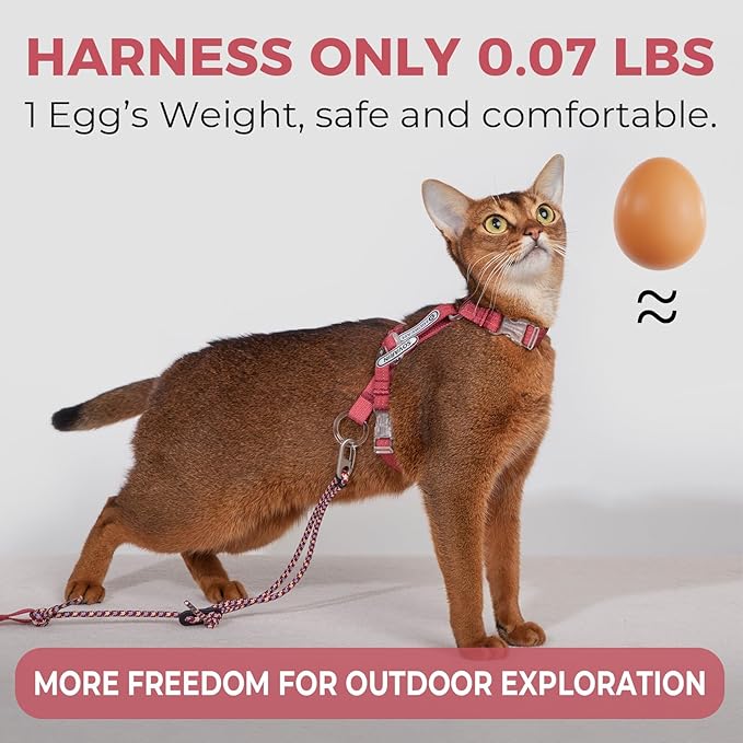 Cat Harness and Leash Set - Red Lightweight Soft Kitten Harness Escape Proof, Adjustable Travel Pet Harness for Walking，Easy Control Comfortable Outdoor (Red, One Size Fits All)