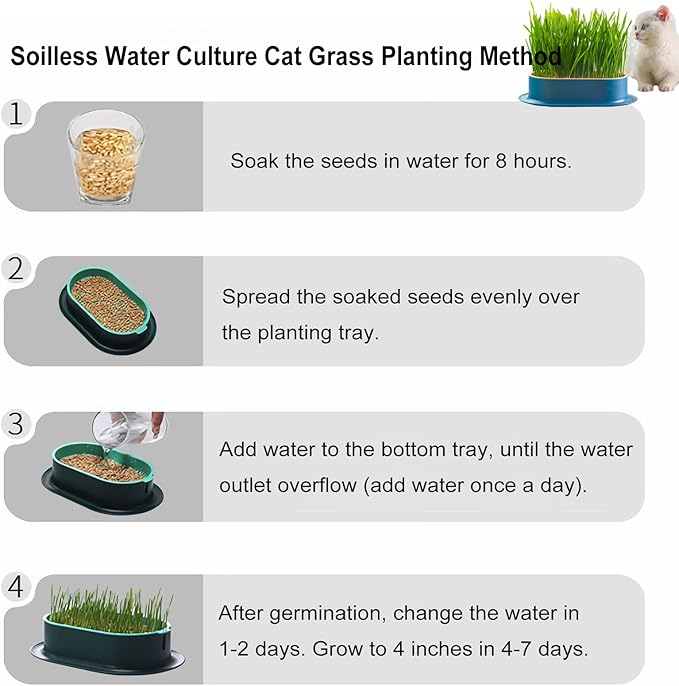 3Pcs Cat Grass Planter (No Seeds Included) Wheatgrass Planting Trays Hydroponic Cat Grass Growing Kits for Indoor Cats Soilless Organic Nursery Box Pet Grass Pot (J)