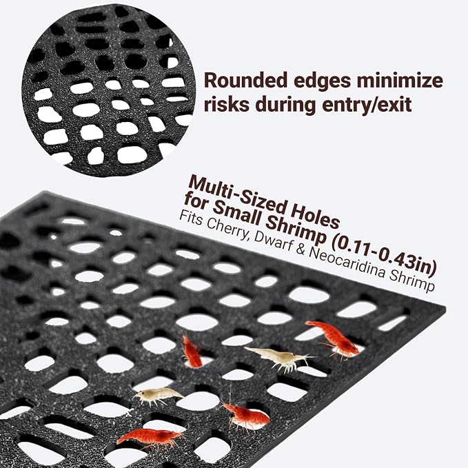 2-Pack Black Shrimp Hides for Aquarium - Stealth Cave with Multi-Sized Holes, 180° Viewing & Stable Hides for Cherry/Dwarf Shrimp