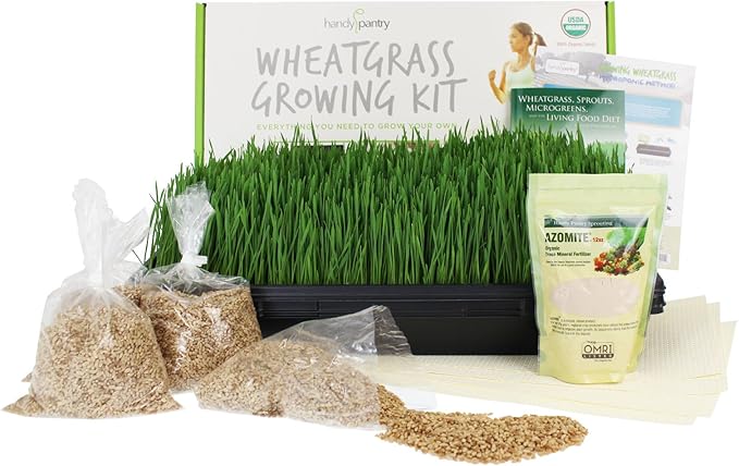 Handy Pantry Wheatgrass Growing Kit - Hydroponic - Certified Organic - Non-GMO - Easy & Fast to Grow Wheat Grass at Home for Wheatgrass Shots & Cat Grass
