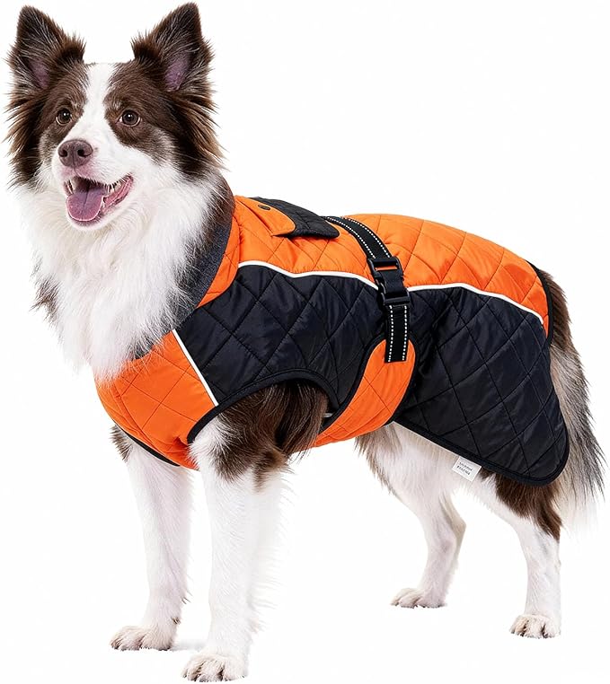 Dog Coat Dogs Jacket Waterproof Reflective Adjustable Dog-Winter Coats for Small/Medium/Large Dogs Dachshund Coat-(Orange, Medium)