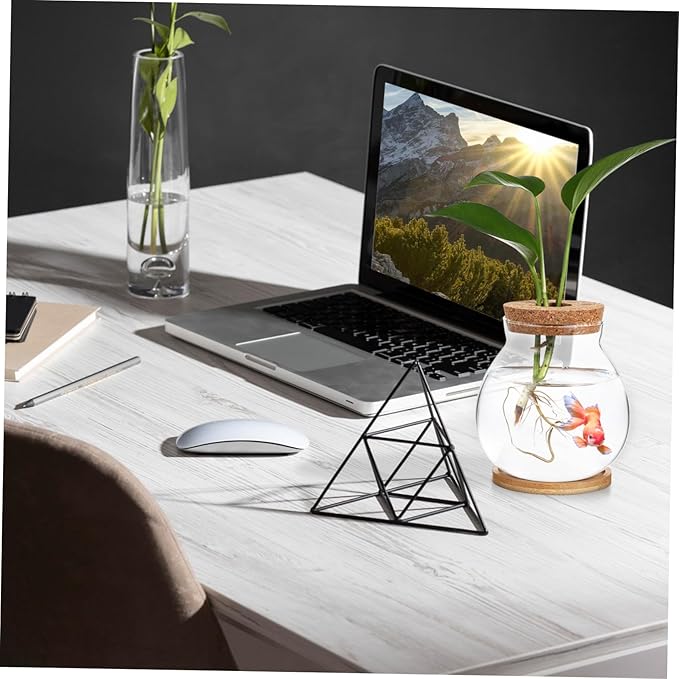 Glass Hydroponic Plant Vase with Cork Lid and Bamboo Base Small Clear Fish Bowl Desktop Terrarium Kit for Water Plants Lucky Bamboo Betta Fish Starter Pot for Home Office Decor 5x5.5 Inch