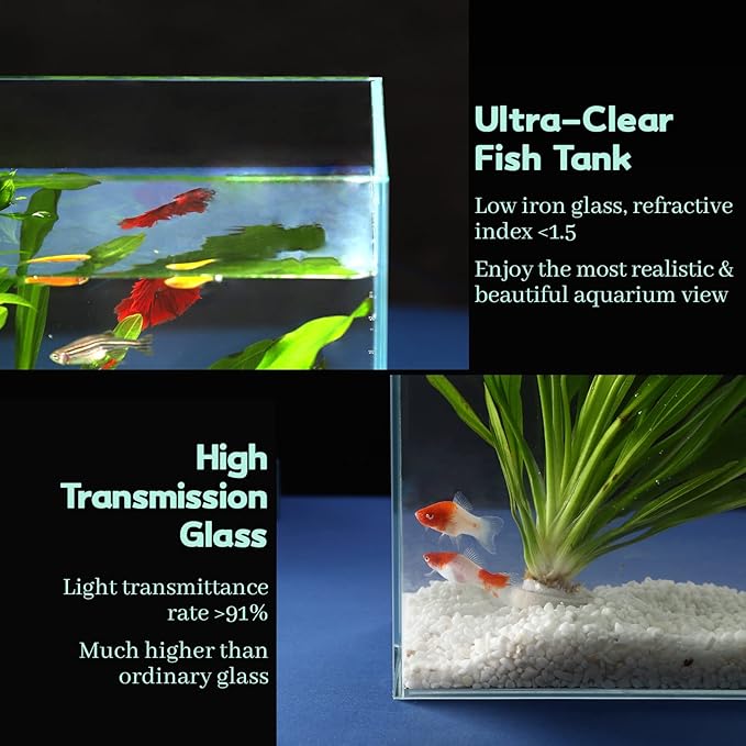 LAQUAL 10 Gallon Ultra Clear Glass Fish Tank, Rimless Low Iron Aquarium for Betta/Nano/Goldfish/Snail/Shrimp, Big Fish Tank & Cover Set & Feeding Ring & Cleaning Tools