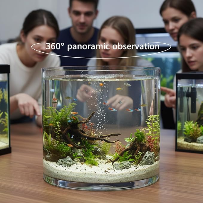 Maxdot 1.66 Gallon Cylindrical Glass Fish Tank Solid Base, 360° Full View Desktop Aquarium Starter, Easy to Maintain Small Microfauna for Betta Snails Shrimp Aquatic Planting and Small Plant Terrarium
