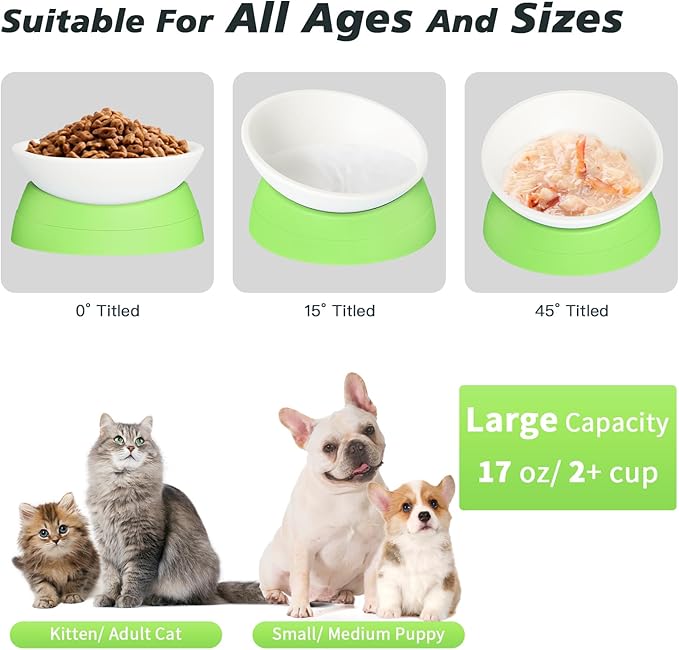 Elevated Cat Bowl, Adjustable Raised Slanted Food Bowl for Cats and Small Dogs, Wide Shallow PP Dish with TPR Non Slip Base, Whisker Friendly, 17 oz