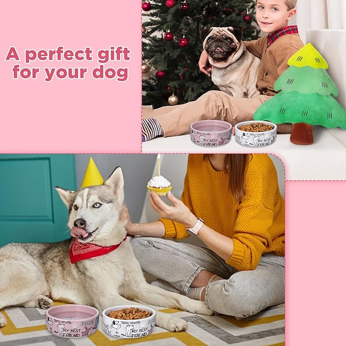 2 Pcs 5 Inch Ceramic Dog Bowls Dishes for Small Dogs Cute Cartoon Pattern Puppy Cat Bowls Heavy Food Water Dishes for Pets Feeding Travel, Dishwasher Safe Microwave Safe(Pink and Gray)
