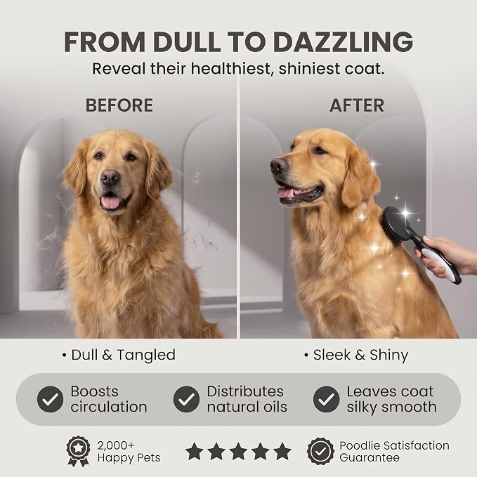 Round Bristle Pet Brush for Dogs and Cats - Soft Dog Brush for Grooming Short or Long Hair - Gentle Tool for Sensitive Skin Removes Dander, Dirt, and Detangles (Black)
