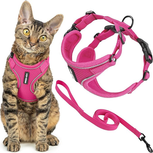 Voyager Escape-Proof Step-in Lock Cat Harness & 5ft Neoprene-Handle Leash Set All-Weather Mesh with Reflective Stitching for Small to Large Cats by Best Pet Supplies, Fuchsia (327), XXS
