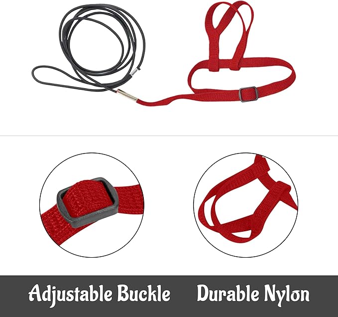 2 pcs Pet Parrot Bird Harness and Leash, Adjustable Training Design Anti-Bite, Outdoor Flying Training Rope Kit for Bird Parrots Fits Birds Chest Between46-76cm /18.11-29.92inch - XL (red)
