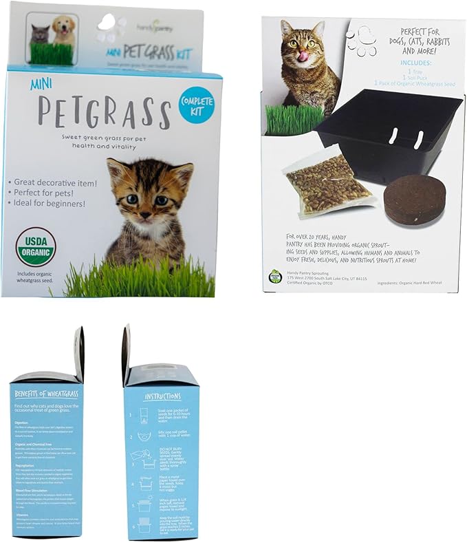 Handy Pantry Organic Cat Grass Kit - Includes 1 Tray, 1 Soil Puck, and Non GMO Wheatgrass Seed - A Healthy Treat for Cats, Dogs, Rabbits, and More
