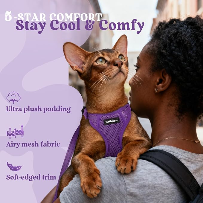 rabbitgoo Cat Harness and Leash, Escape Proof Vest with 3 Adjustable Buckles, Soft Comfortable Kitten Harness, Easy to Wear, Reflective for Safe Outdoor Walking, Medium, Purple