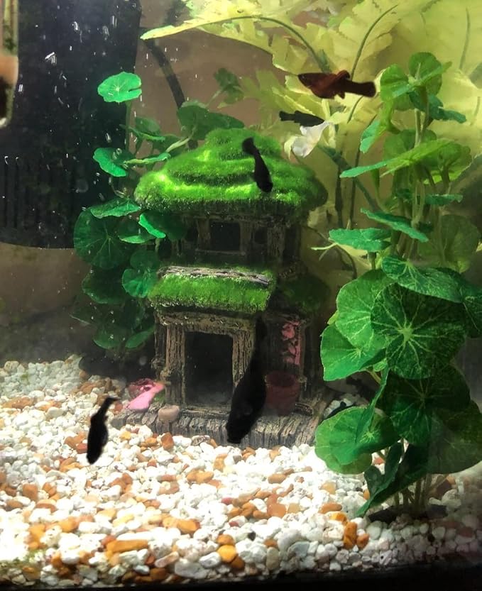 AWXZOM Fish House - Aquarium Decoration with Lifelike Moss, Comes with 2x Artificial Plants