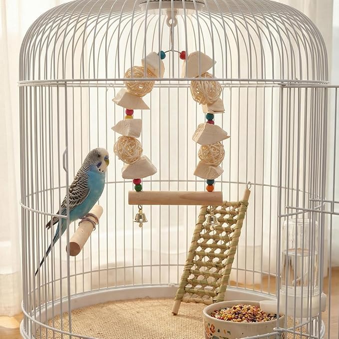 Natural Cuttlebone Bird Swing Toy with Wooden Perch & Wicker Balls – 2-in-1 Calcium Supplement & Chewing Station for Cockatiels, Budgies, Conures, Lovebirds – Safe Wood Beak Grinder Cage Accessory