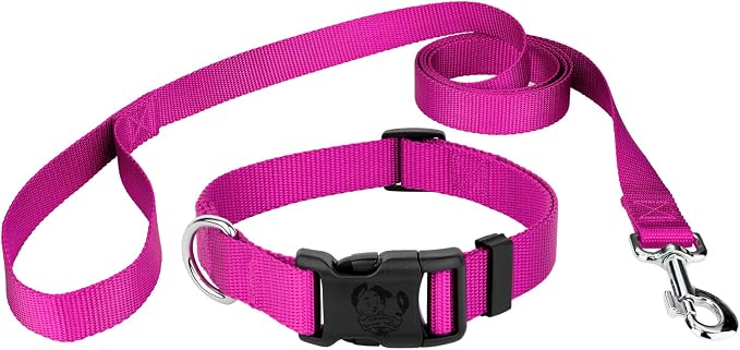 Country Brook Petz - Everyday Nylon Dog Collar and Leash - 10+ Cool Colors (3/4 Inch, Medium, Fuchsia)