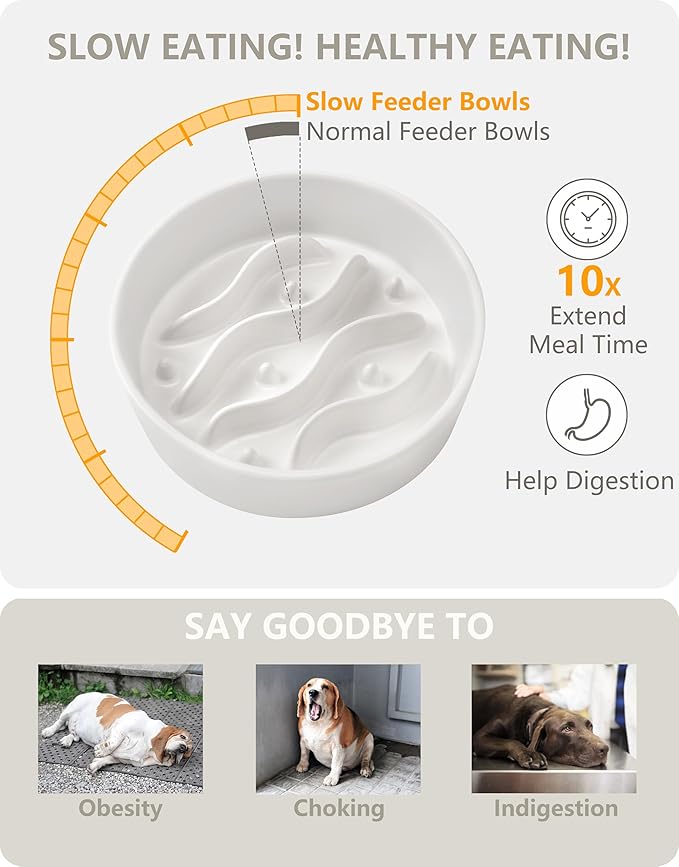 Ceramic Slow Feeder Dog Bowls Elevated, 0.6 Cup Dog Slow Feeder for Small Dogs, Puzzle Maze Bowl, 14oz, 6in, White