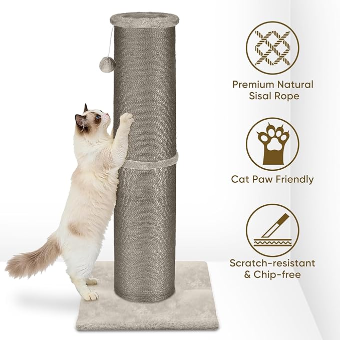 PAWSCRAT Cat Scratching Post 32 Inch High, 5.5 Inch Large Diameter Natural Sisal Cat Scratch Post, Scratch-Resistant and Durable Tall Cat Scratcher for Indoor Cats, Protect Your Furniture, Gery