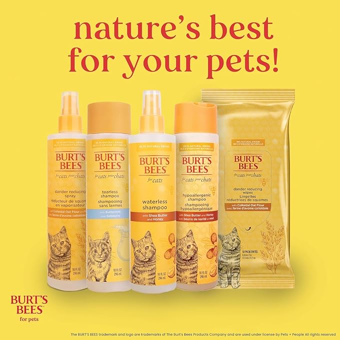 Burt's Bees for Pets Tearless Kitten Shampoo with Buttermilk and Honey, 99% Natural Origin Gentle Cat Shampoo for Sensitive and Itchy Skin, pH Balanced and Fragrance-Free, 10 Fl Oz - 2 Pack