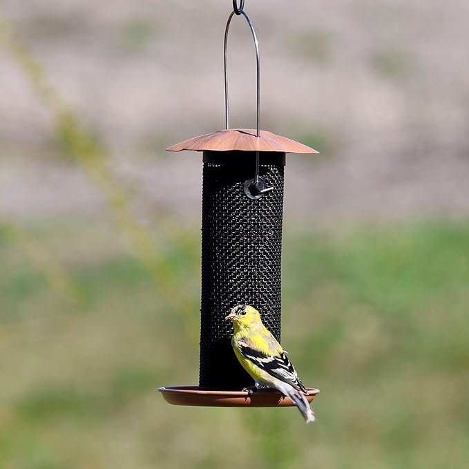 Songbird Essentials Gold Finch Feeder for Outdoor Hanging - Petite Nyjer Thistle Seed Feeder - All Metal - for Finches and Buntings for Outdoor Garden - Brushed Copper
