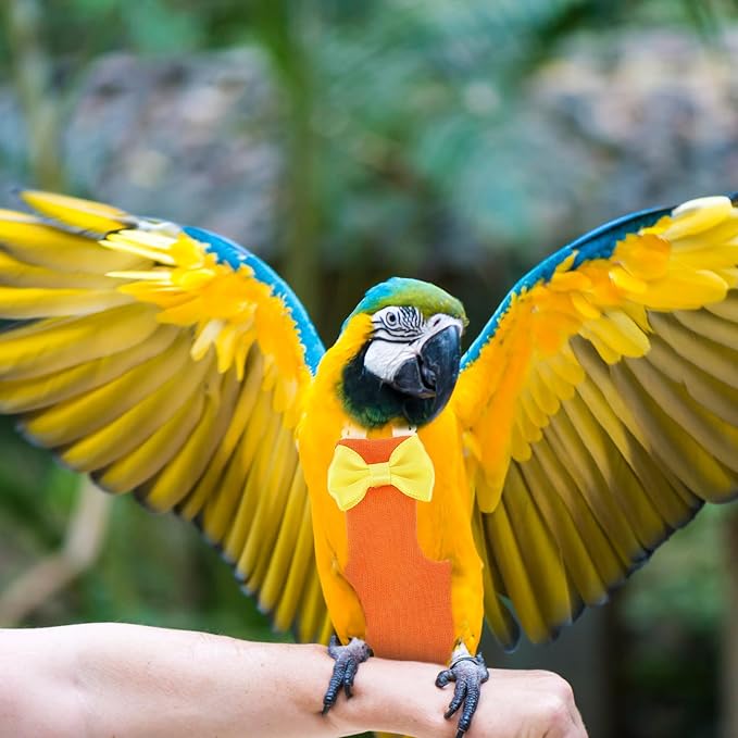 DOITOOL Parrot Flight Suit Diaper Bird Clothing Liner Orange Small Size Outdoor Conure Parakeet Diapers for Large Birds