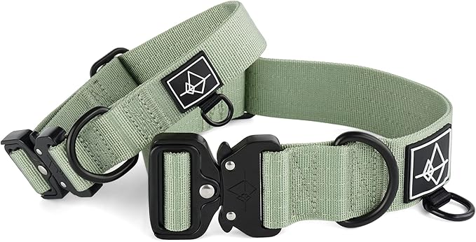 Made to ROAM Premium Dog Collar - Adjustable Heavy Duty Nylon Collar with Quick-Release Metal Buckle (Washington Rain, Classic Size 4)