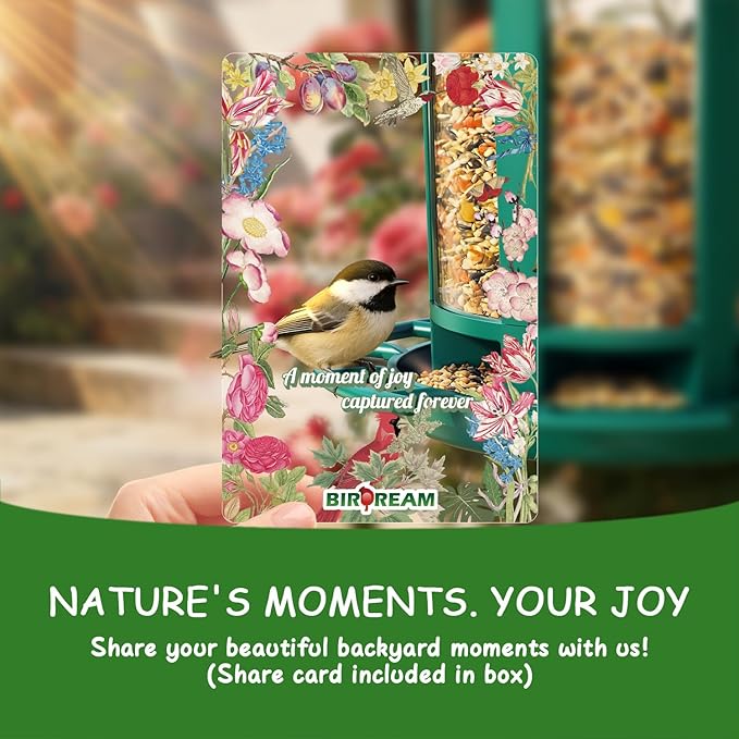 Birdream 2 Pack Bird Feeders for Outdoor Hanging, Assembly Required, 1-Min Easy Setup, Charming Castle Design, Attracting Cardinals Chickadees Goldfinches & Sparrows - Green