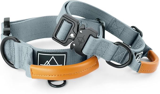 Made to ROAM Premium Explorer Control Collar - Adjustable Heavy Duty Nylon Dog Collar with Quick-Release Metal Buckle and Handle (Virginia Mountains, Control Size 4)