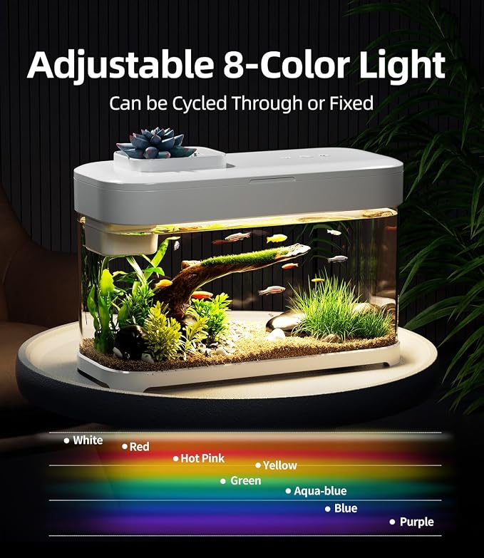 3 Gallon Fish Tank Starter Kit with Heater Hidden Filtration Light Acrylic | Temperature Monitor, 8 Color Lighting, Self-cleaning, Round Corner, Rimless, for Betta Shrimp Guppy, White, Detachable Lid