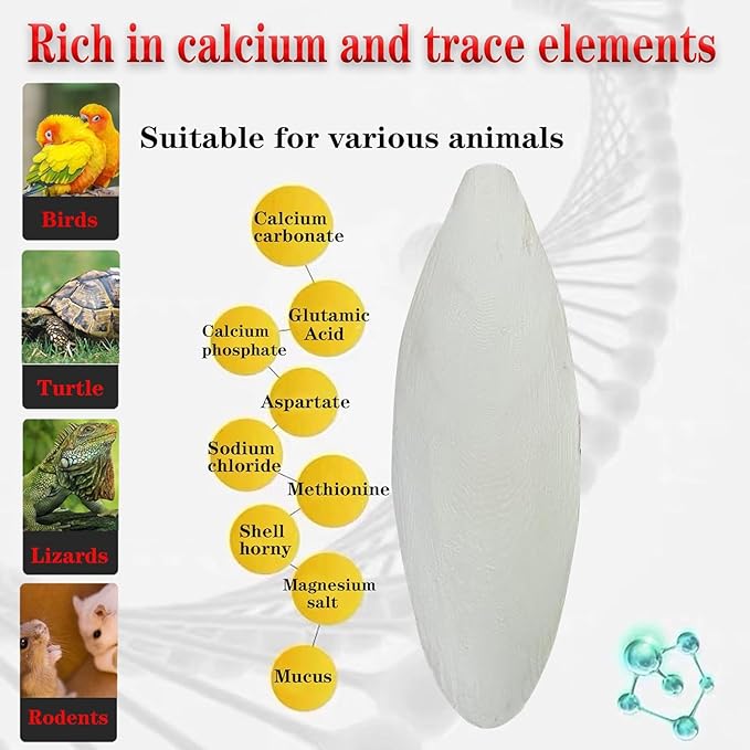 5.5"-7.1" inches Large Cuttlebone for Birds - 100% Natural Cuttlefish Bone Bulk Chew Toy Bird Bites Calcium Stone for Canaries Tortoises,Snails,Reptiles,Parrots,Cockatiel -3pcs