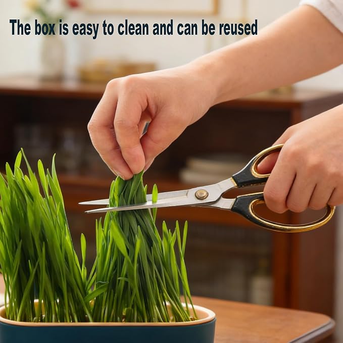 2Pcs Cat Grass Planter, Plastic Wheatgrass Planting Trays Hydroponic Cat Grass Growing Kits for Indoor Cats Soilless Nursery Box Pet Grass Pot (2 Color)